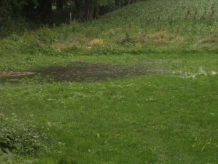 zalewanie, podtapianie działki