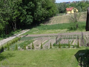 Ogródek warzywny, rośliny