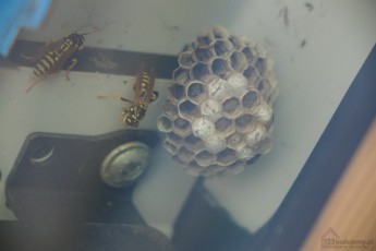 osy w okapie okna dachowego