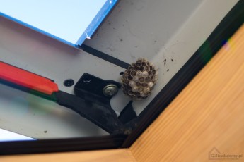 gniazdo os okap okna dachowego