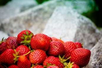 truskawki w tle kostka granitowa