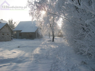 Ośnieżona alejka