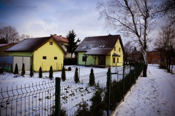 dom od tyłu, ogród garaż, zasadzone thuje