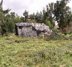 zarośnięta działka