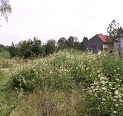 przygotowanie działki pod budowę domu