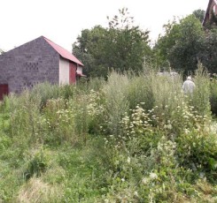 sąsiadów nie widać