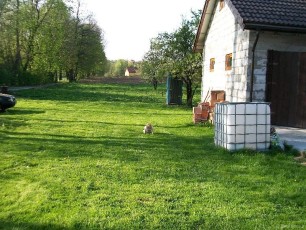 garaż wolnostojący, ogród