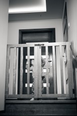 drewniana furtka dwuskrzydłowa przed schodami