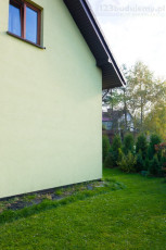 zniszczona elewacja przez dzięcioła
