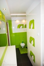 czarna podłoga zielono białe ściany biały sufit łazienka