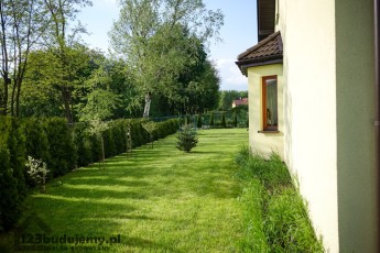 Widok z boku na ogrodzenie z thui i trawnik