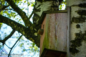 budka dla btaków