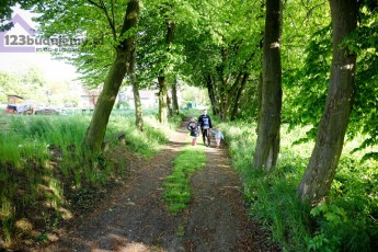 alejka wśród drzew obok działki