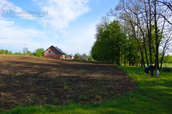 Alejka, widok od sąsiadów z tyłu