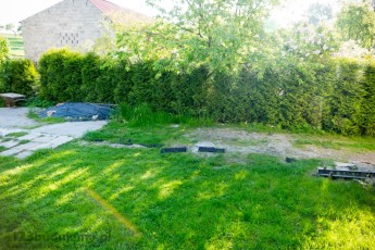 Ogrodzenie z thui podjazd do garażu