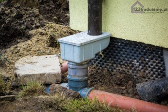 osadnik rynnowy łapie liście i inne śmieci które spływają z deszczówką z dachu