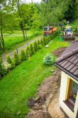 widok z okna na ogrodzenie w thui, wykusz