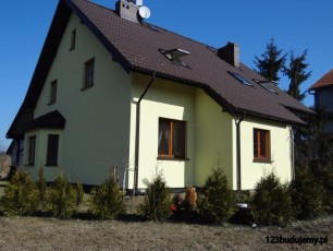 żywopłot z tuji iglaków