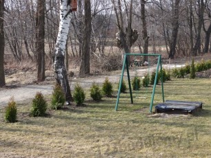 ogrodzenie siatka i thuje