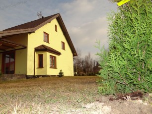 elewacja, thuje w ogrodzeniu