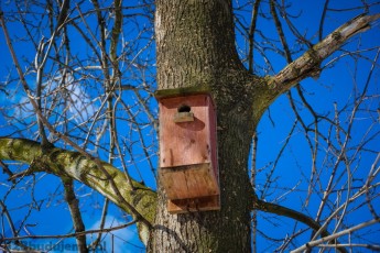 Budka dla ptaków wykonana i powieszona