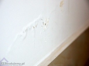 zamoknięta ściana, podmoknięta ściana