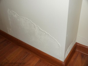 woda w kominie zamoknięta ściana, odchodzi farba beckers