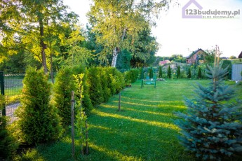 kiedy-przycinac-tuje