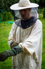 walka z osami. Gniazdo os pod dachem w podbitce