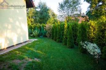 zywoplot thuje przycinanie