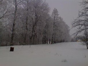 zima 2009-2010 ogród