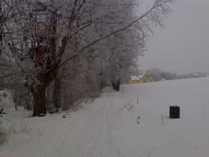 alejka w śniegu, drzewa pokryte lodem