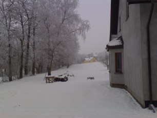 drzewa pokryte lodem