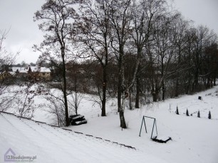 Zimowy widok z okna dachowego na alejke