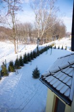 widok z okna na wykusz, zadaszenie wykusza