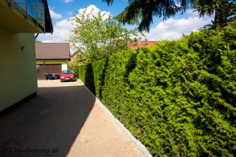 utwardzony podjazd pod garaż, ogrodzenie tuje brabant