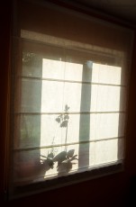 okno z roletą rzymską w stylu skandynawskim