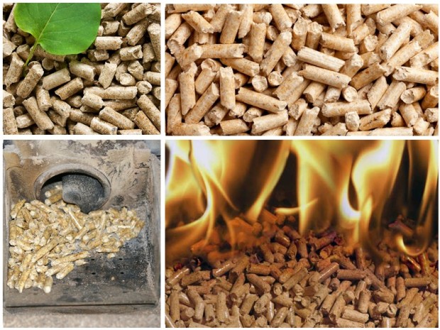 biomasa pellet opinie cena