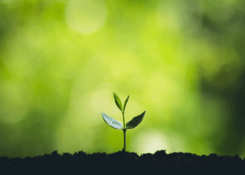 inwentaryzacja-przyrodnicza