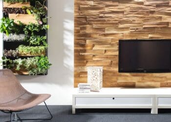 Piaskowiec w salonie