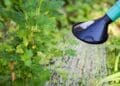 Jak obniżyć koszty podlewania ogrodu z pompą głębinową?