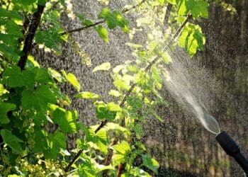 Mospilan – właściwości i zastosowanie