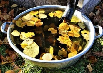 Jak gromadzić wodę w ogrodzieFbeczka