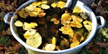 Jak gromadzić wodę w ogrodzieFbeczka