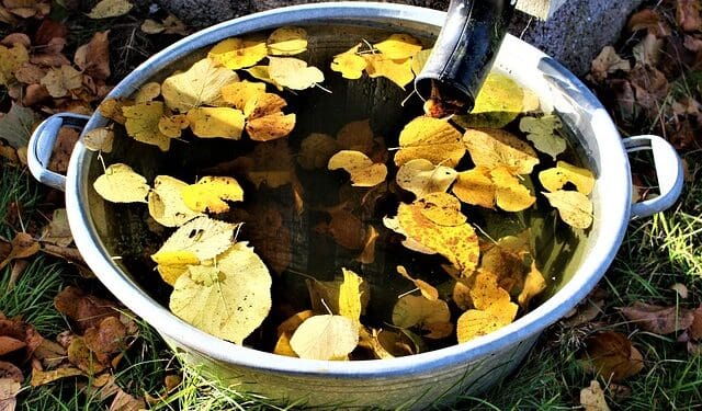 Jak gromadzić wodę w ogrodzieFbeczka