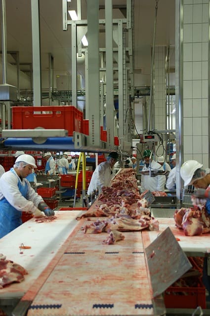 Kurtyny paskowe PCV – obowiązkowy element wyposażenia hali produkcyjnej