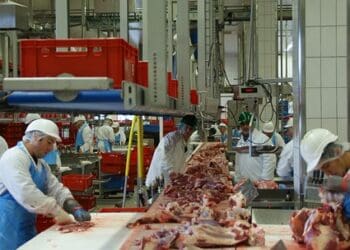 Kurtyny paskowe PCV – obowiązkowy element wyposażenia hali produkcyjnej