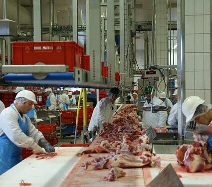 Kurtyny paskowe PCV – obowiązkowy element wyposażenia hali produkcyjnej