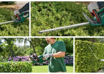 Akumulatorowe nożyce do żywopłotuParkside
