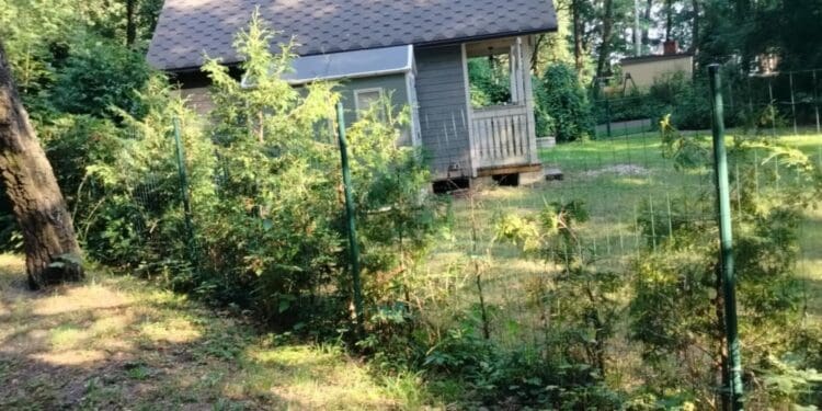 domek letniskowy na działce